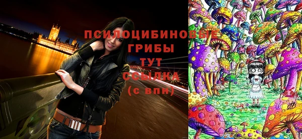 хмурый Богородицк