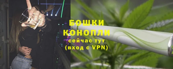 хмурый Богородицк