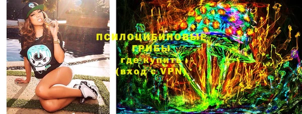 mdpv Богородск