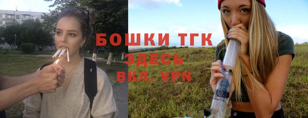 хмурый Богородицк