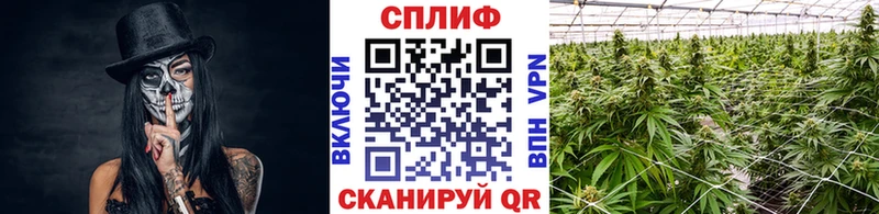 МАРИХУАНА конопля  Купить  Красновишерск 